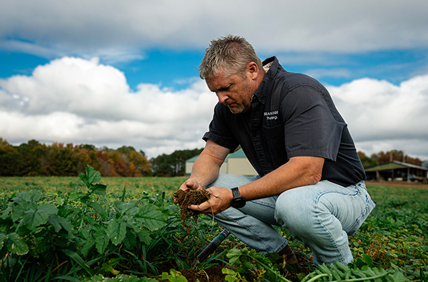 Cover crops