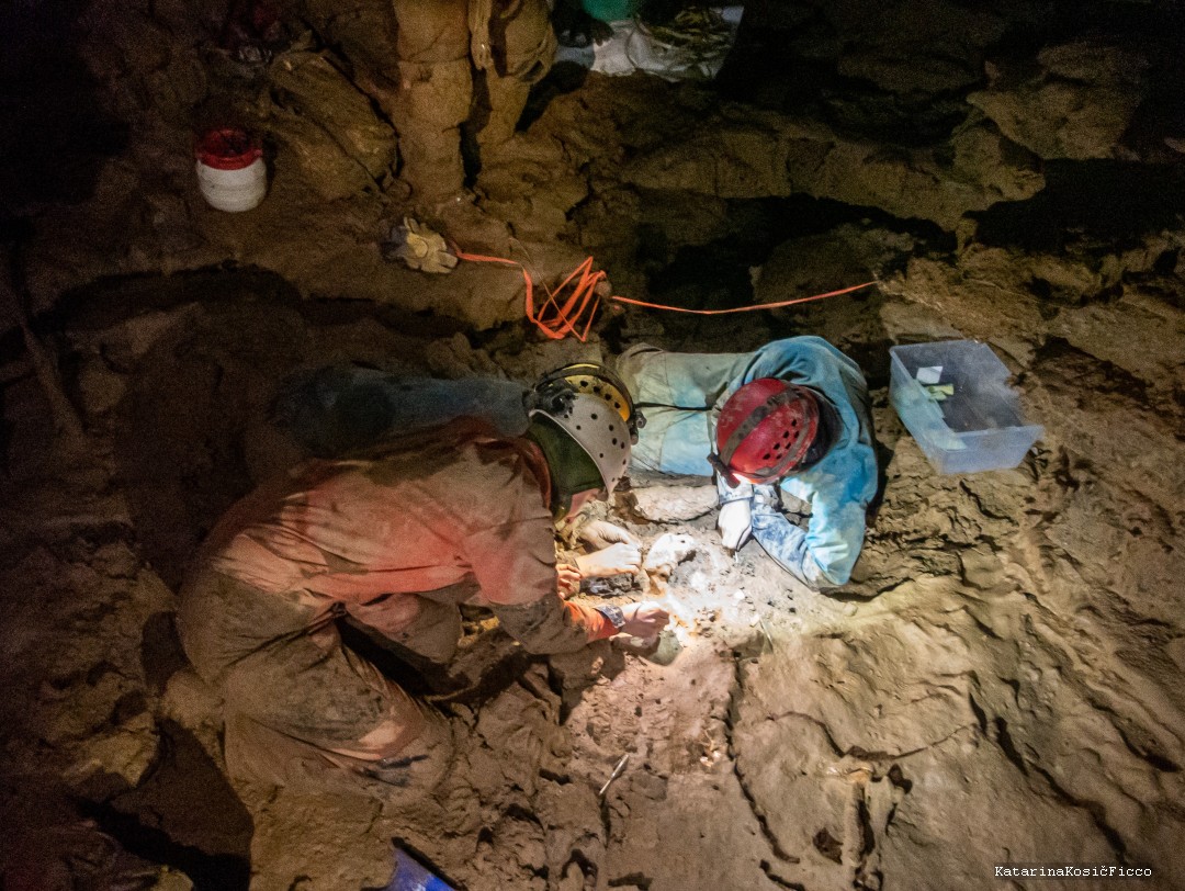 Team meticulous digging around the skeleton. 