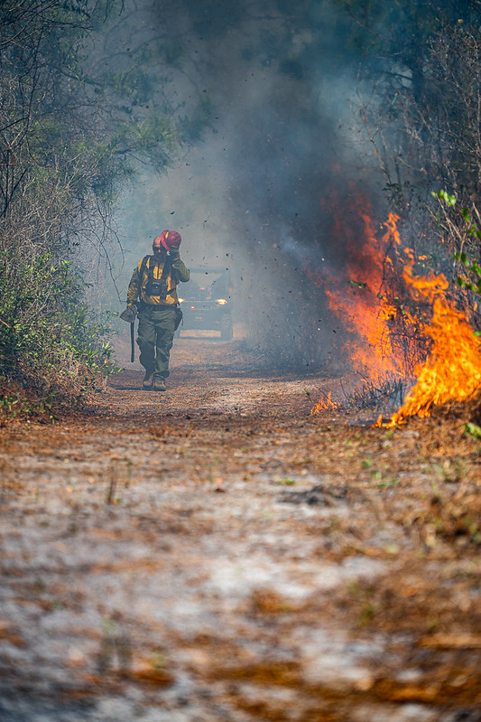 Intern with the fire crew