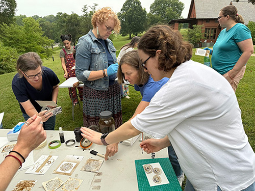 Arts in Environmental Education