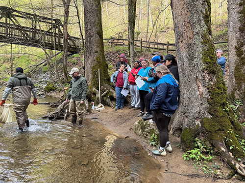 Envirolearn Waterwise field trip