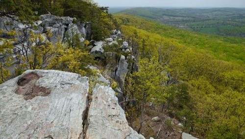 photo of Bull Run NAP