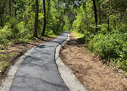 Trail in Shenandoah