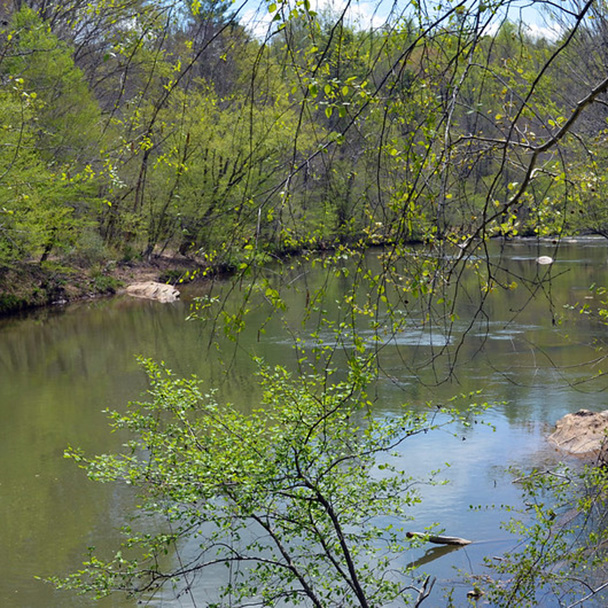 Mayo river
