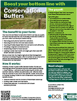 Conservation Buffer flier