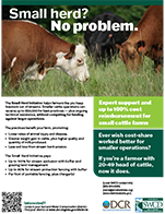 Small Herd Initiative flier