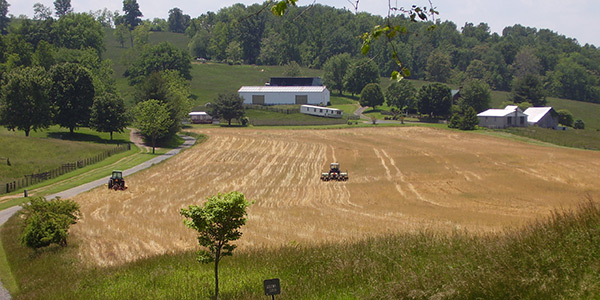 No-till field