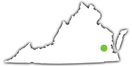Chippokes State Park