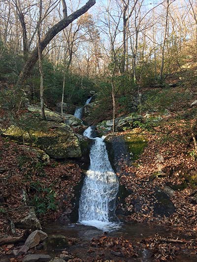 Blue Suck Falls Trail at  Douthat State Park