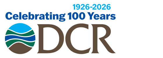 DCR100
