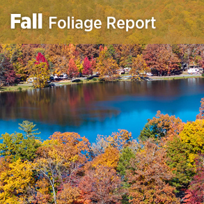 Fall Foliage
