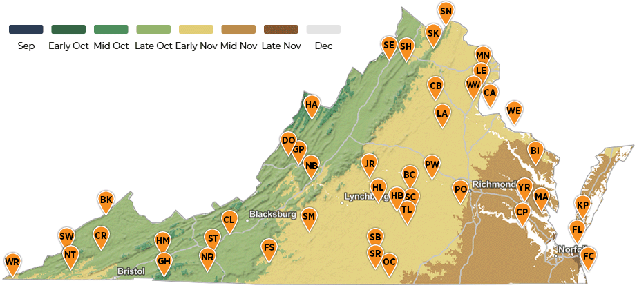 2026 Fall foliage prediction map. Courtesy Explorefall.com