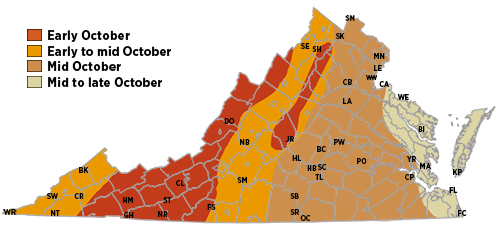 Fall color prediction map