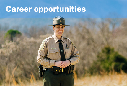 Career Opportuntites