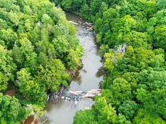 The ledge in the Mayo River at the future Mayo River State Park