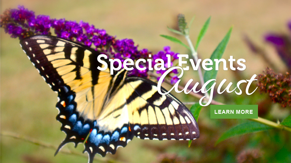August events in Virginia State Parks August events in Virginia State Parks