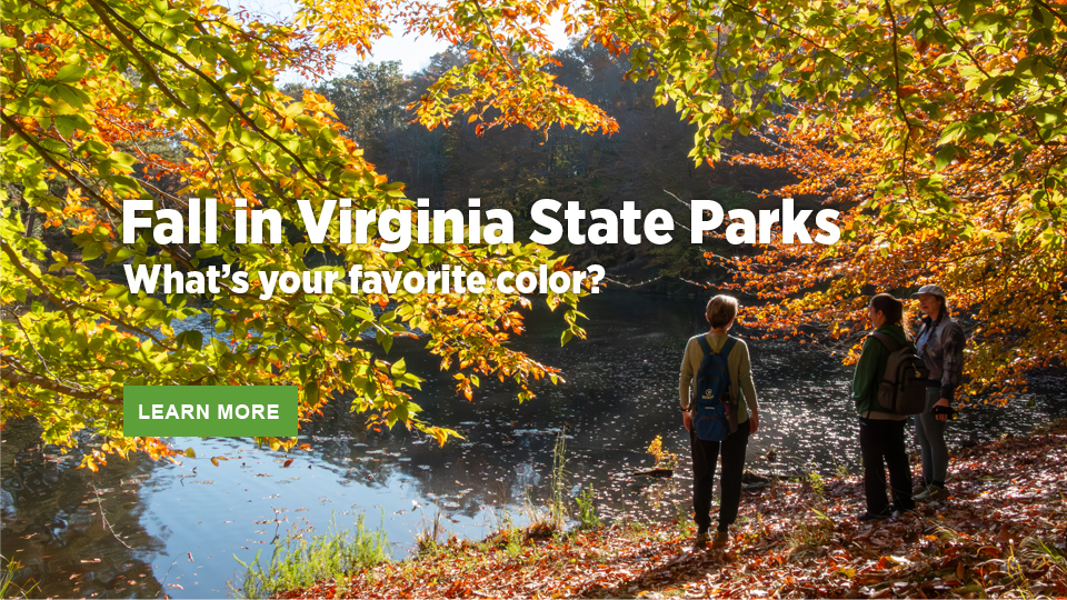 Fall in Virginia State Parks